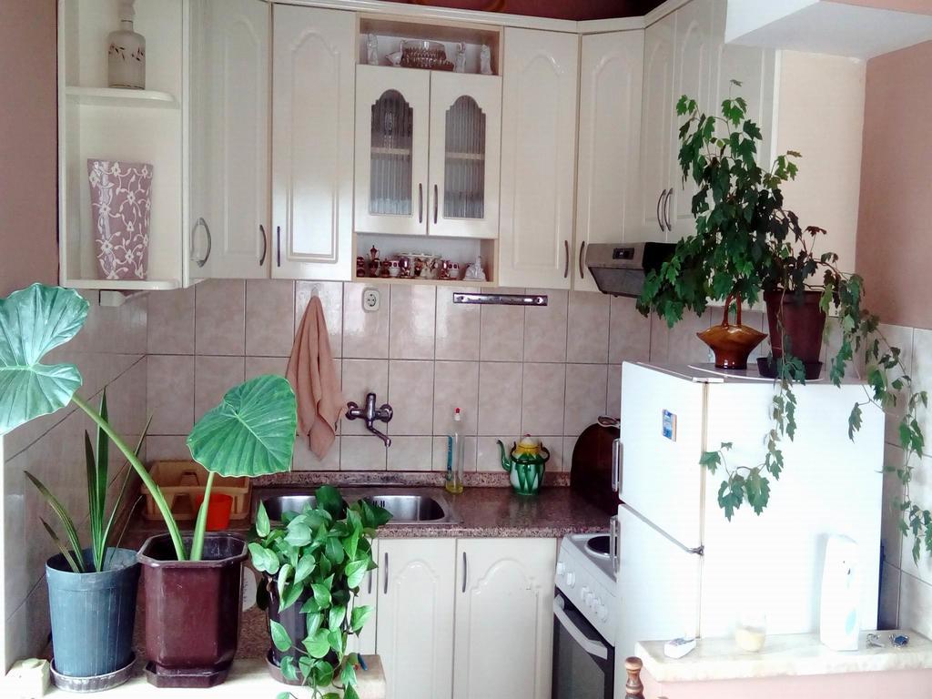 Apartment Luka Ohrid Værelse billede